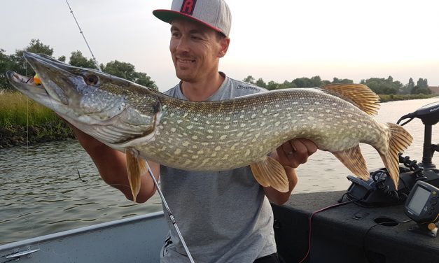 Dit moet je weten over snoek onderlijnen – Staal, titanium & fluorocarbon