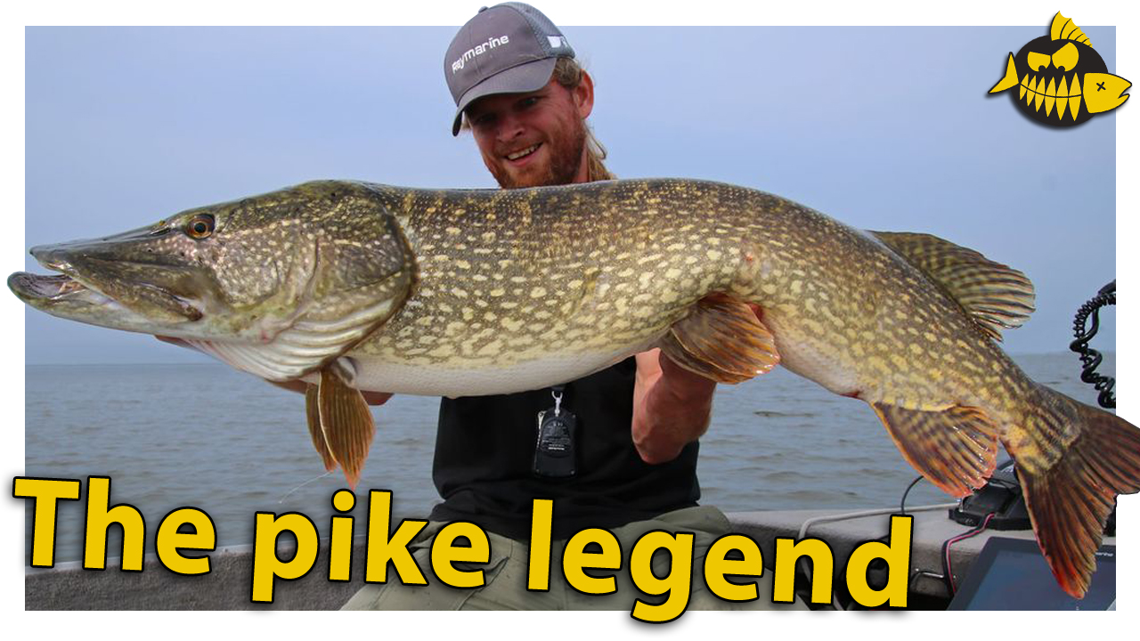 ***VIDEO*** Hoe vangt Volkmar Strikkers zoveel grote snoek? Een legend over Esox lucius