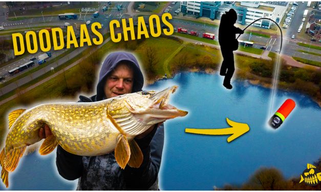 ***VIDEO*** DIKKE winter snoek op DOOD AAS – Zo vangen wij ze
