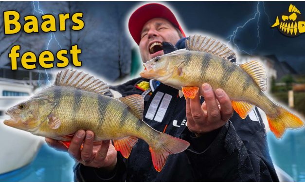 ***VIDEO*** In deze haven vangen we superveel grote baars