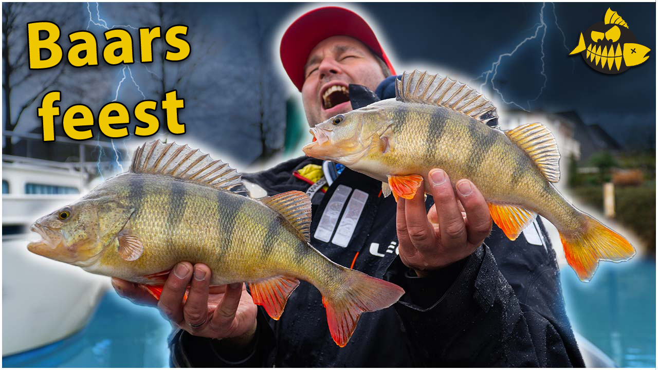 ***VIDEO*** In deze haven vangen we superveel grote baars