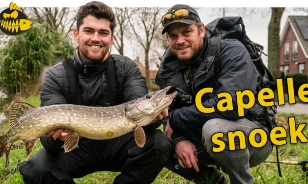 ***VIDEO*** Een softbait die het absolute verschil maakt – Kantvissen op snoek in Capelle