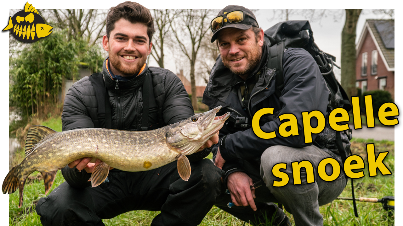 ***VIDEO*** Een softbait die het absolute verschil maakt – Kantvissen op snoek in Capelle