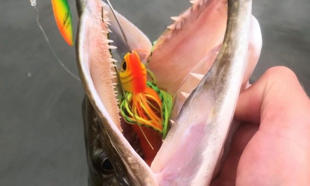 Nieuwe spinner- en chatterbaits, molens en hengels bij Het Loze Vissertje