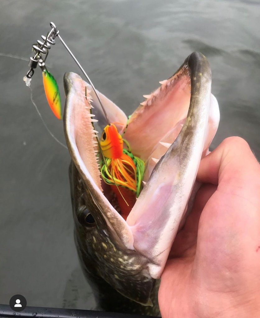 Nieuwe spinner- en chatterbaits, molens en hengels bij Het Loze Vissertje