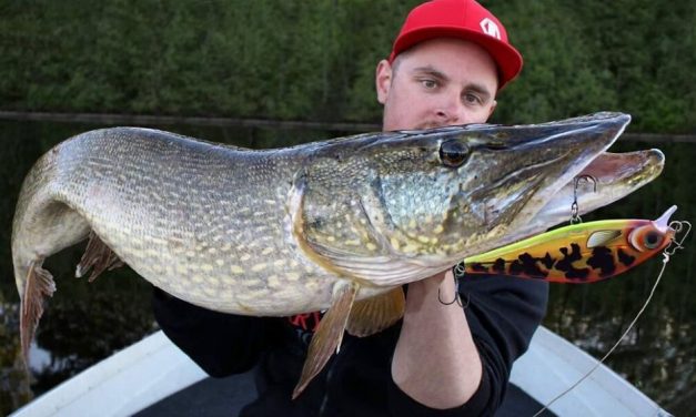 4 kunstaas toppers van Rapala voor snoek