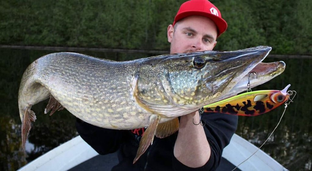 4 kunstaas toppers van Rapala voor snoek