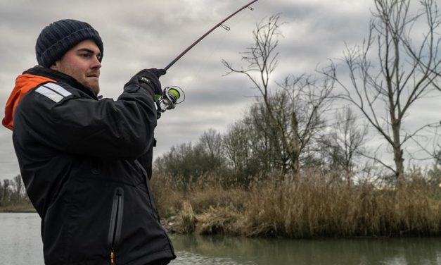 De ultieme hengels voor het werpen op snoekbaars