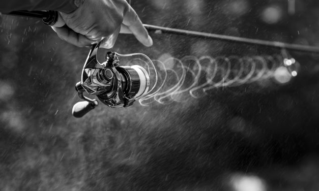 Shimano lanceert prachtige nieuwe Stella FK