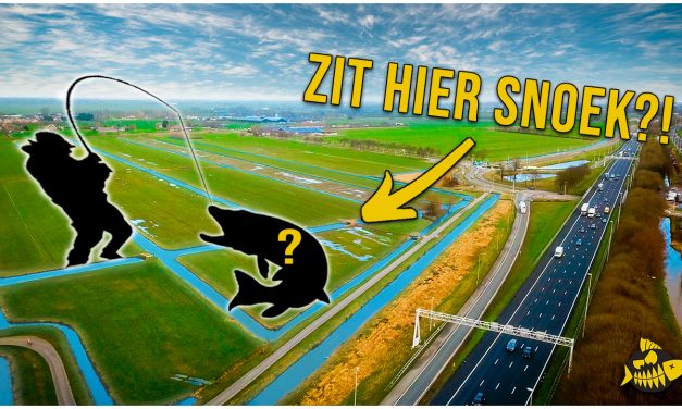 ***VIDEO*** Zou iemand hier OOIT gevist hebben? Snoek BATTLE  tussen Sjoerd en Bo in de polder