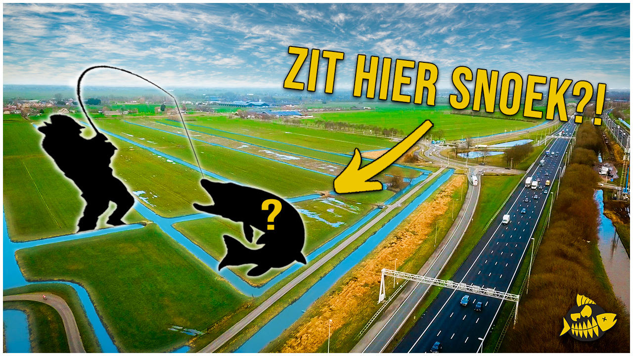 ***VIDEO*** Zou iemand hier OOIT gevist hebben? Snoek BATTLE  tussen Sjoerd en Bo in de polder
