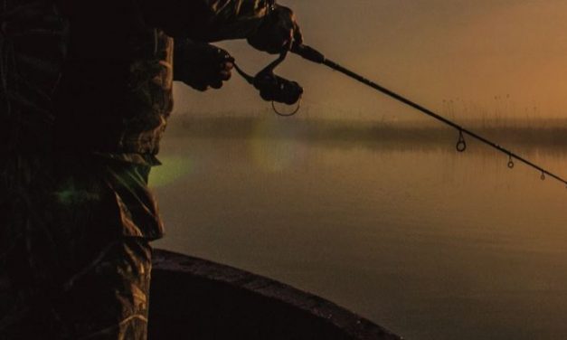 Westin W3 hengels met minimaal 20% korting bij Fish Inn!