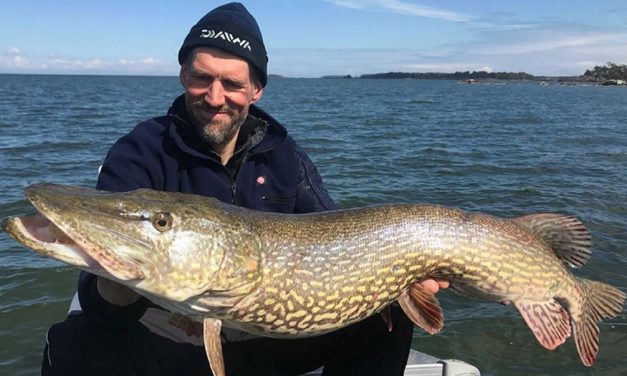 Op zoek naar echt grote roofvis met Daiwa Prorex