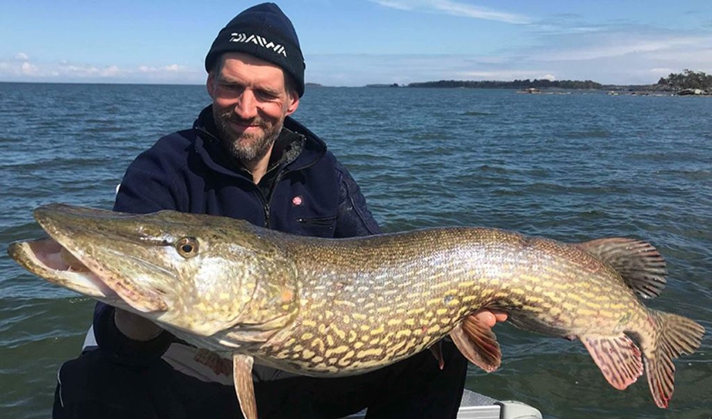 Op zoek naar echt grote roofvis met Daiwa Prorex