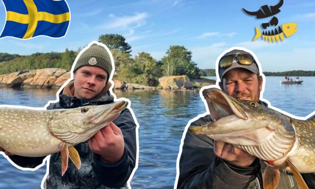 5+1 redenen waarom je samen met Sjoerd & Bo in Zweden moet gaan vissen