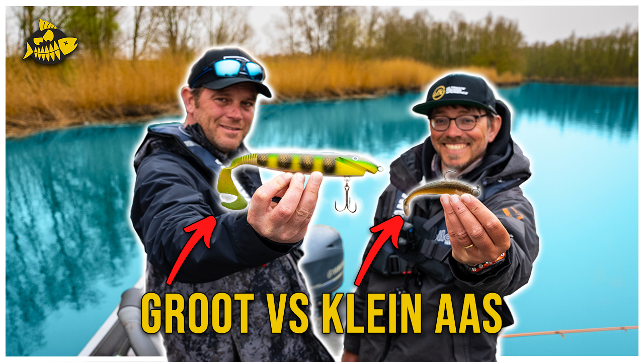 ***VIDEO*** Wij vinden DROOMSTEKKEN – Zoveel snoek hebben we nog NOOIT gezien!