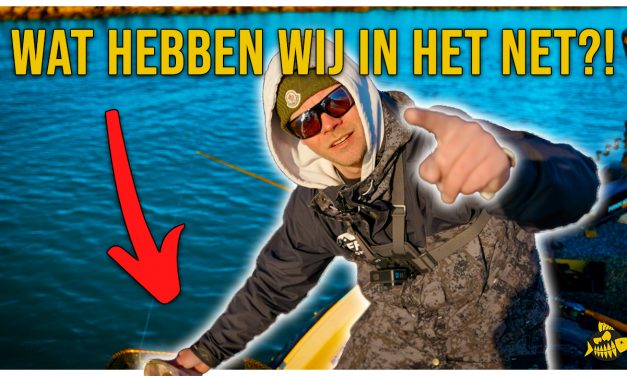 ***VIDEO*** WAT IS ER GEBEURD MET DEZE BAARS?! Moddervette snoek mama