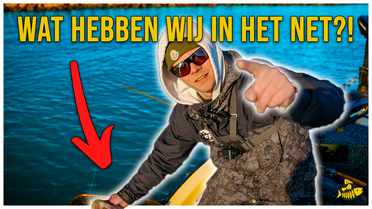 ***VIDEO*** WAT IS ER GEBEURD MET DEZE BAARS?! Moddervette snoek mama