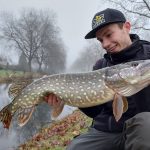 Het beste kunstaas voor snoek – De selectie van een Roofmeister