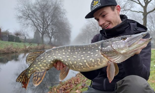 Het beste kunstaas voor snoek – De selectie van een Roofmeister