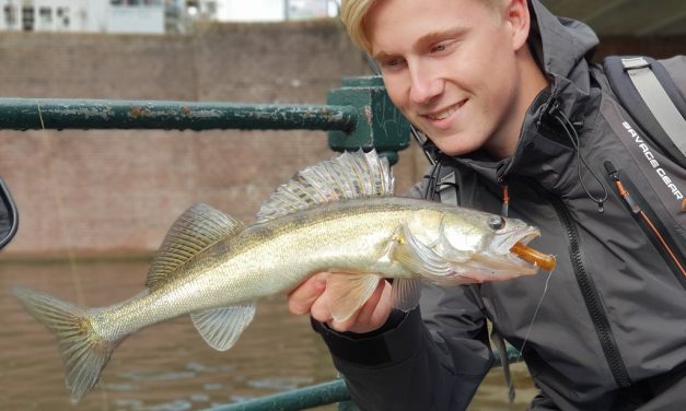 Snoekbaars vissen in de stad – Waar vind je de beste stekken