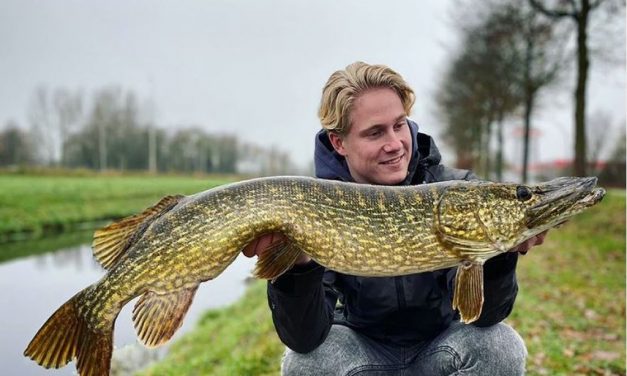 5 top stekken voor snoek – Hier moet je als kantvisser wezen!