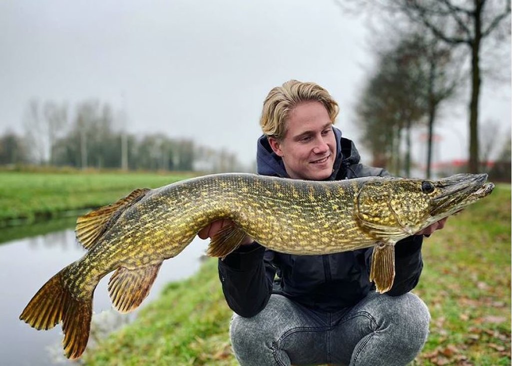 5 top stekken voor snoek – Hier moet je als kantvisser wezen!