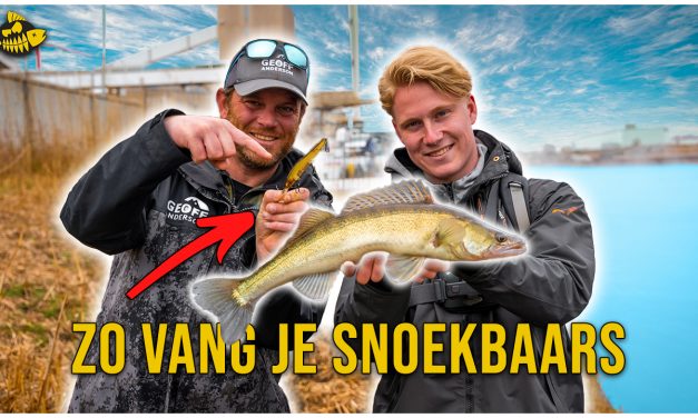 ***VIDEO*** Snoekbaars VANAF DE KANT op het TWENTEKANAAL- Met twitchbaits, shads & tubes
