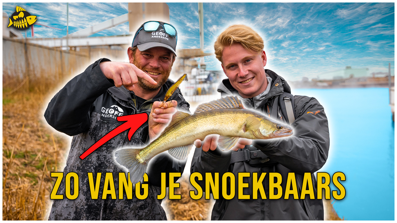 ***VIDEO*** Snoekbaars VANAF DE KANT op het TWENTEKANAAL- Met twitchbaits, shads & tubes