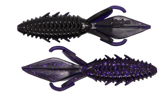 Nu NIEUW bij Fish Inn – Alles voor Ned rig, tubes en dropshot