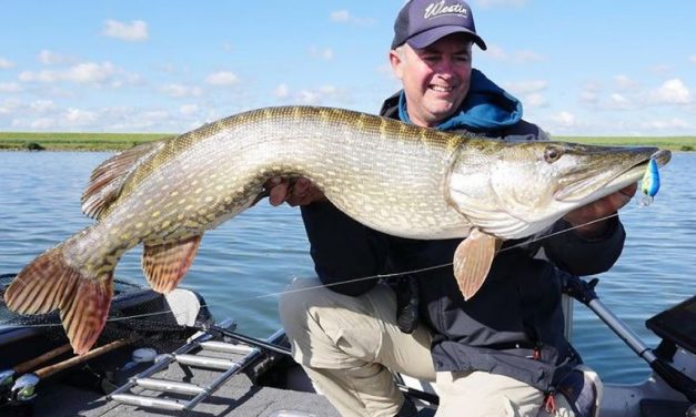 De beste tips van Luc Coppens voor de seizoensopening!