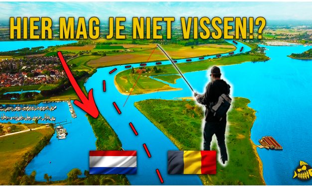 ***VIDEO*** HIER MAG JE VISSEN IN DE GESLOTEN TIJD – Grote baars op chatterbaits