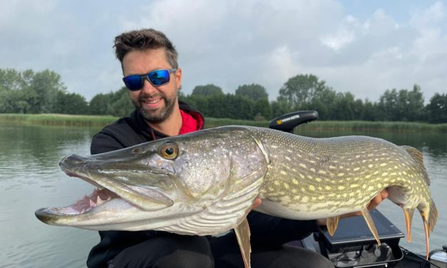 Interview Hendry Vis – Baars leren doorgronden en die verdraaid effectieve dropshot rig