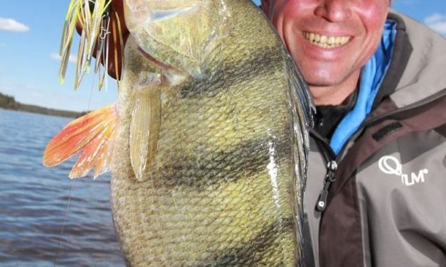 Softbaits voor alle situaties – Classics en newbeez