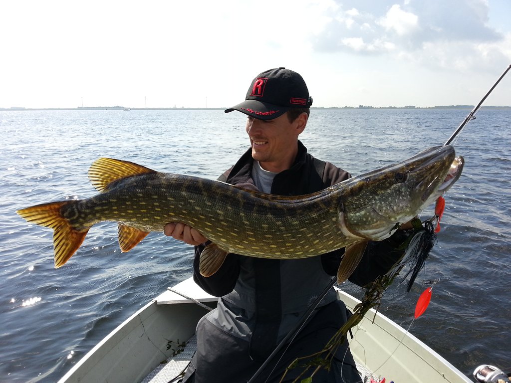 Met spinnerbaits veel en groot vangen – Wanneer? NU!