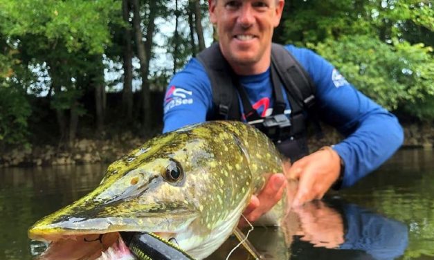 De Whopper Plopper – Een van de beste topwaters op de markt