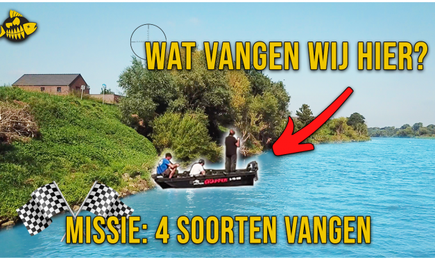 ***VIDEO*** 4 SOORTEN CHALLENGE – Vangen we Meerval/ Snoek/ Snoekbaars/ Baars/ Roofblei?