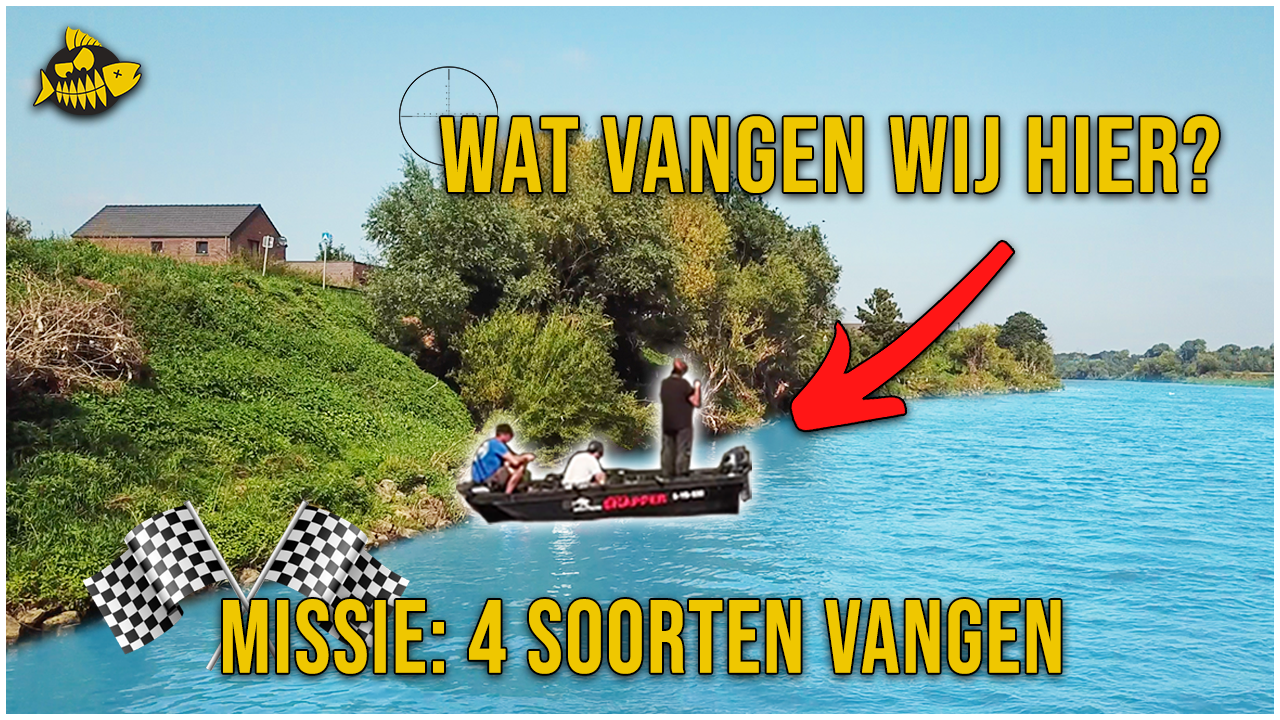 ***VIDEO*** 4 SOORTEN CHALLENGE – Vangen we Meerval/ Snoek/ Snoekbaars/ Baars/ Roofblei?