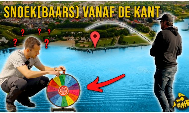 ***VIDEO*** MET DEZE TECHNIEKEN VANG JIJ IN DE ZOMER BAARS EN SNOEKBAARS – Werpen vanaf de kant