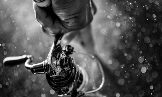 Vier parels van Shimano in vier prijsklasses