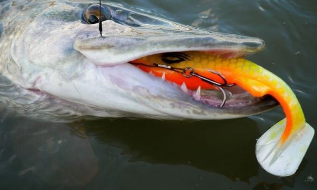 Tools voor de jacht op grote snoek