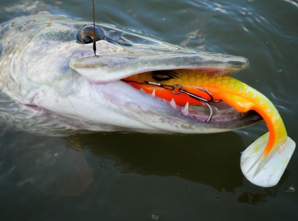 Tools voor de jacht op grote snoek