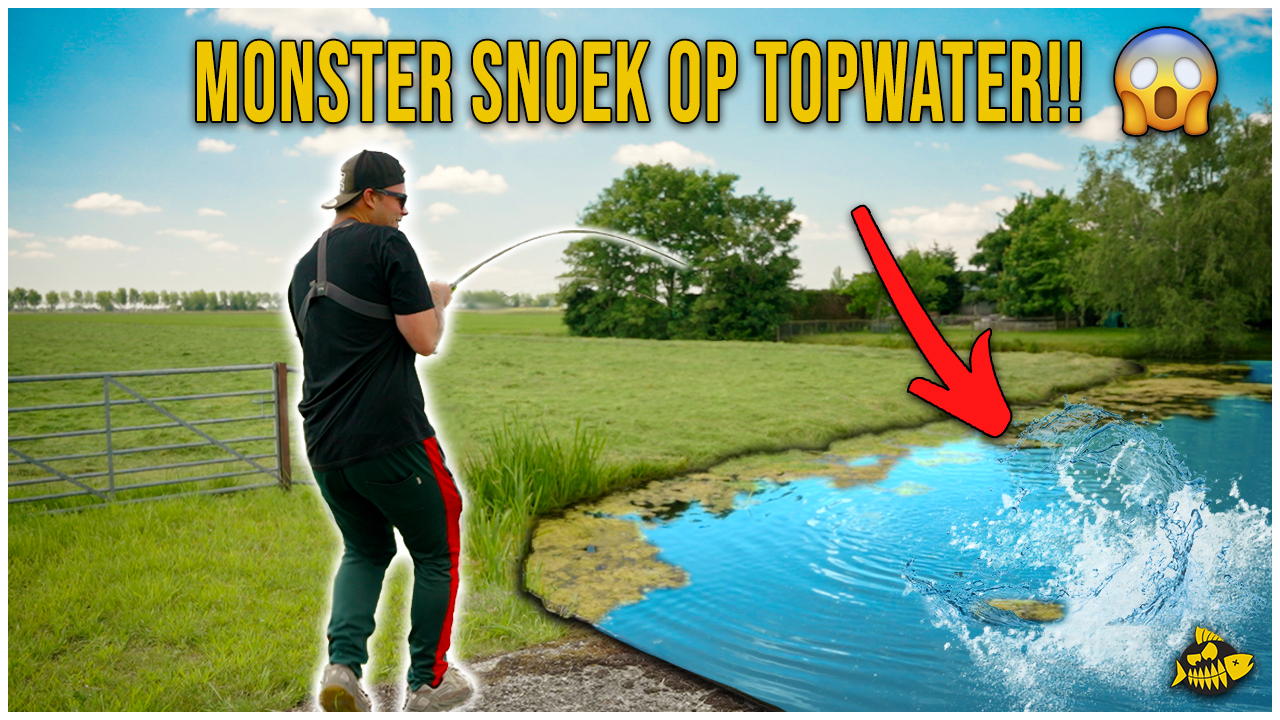 ***VIDEO*** DEZE METERSNOEK HADDEN WIJ NOOIT VERWACHT – Oppervlakte kunstaas in de polder