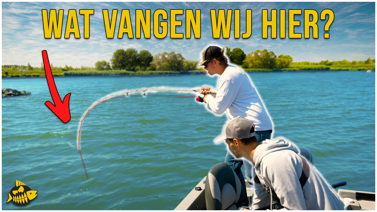 ***VIDEO*** DIT IS DE BESTE ROOFVIS TECHNIEK IN DE ZOMER – Gekkenhuis met crankbaits