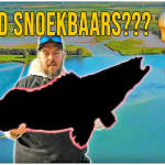 VANGEN WIJ HET RECORD SNOEKBAARS – Zoveel mogelijk roofvissoorten op één kunstaas