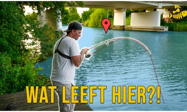 ***VIDEO*** DROOMVANGST OP KLEIN WATER – Jiggen op baars en snoekbaars