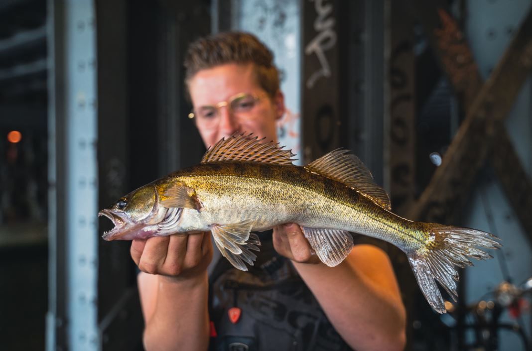 🎥De stad in met Joep Mafait – Street Fishing in Amsterdam