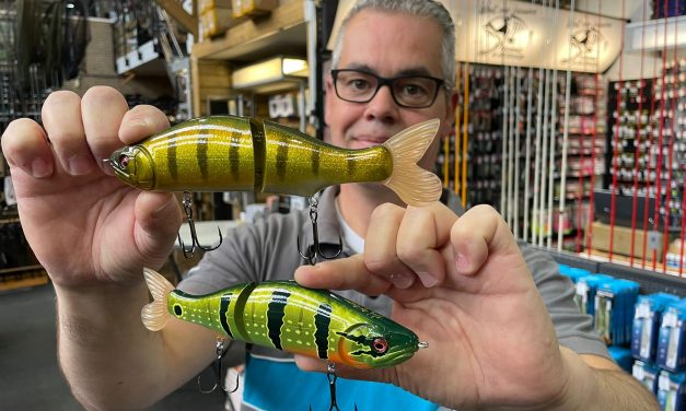 Noike in de keuken & Black Minnow Dutch style – De snoepwinkel van Wout