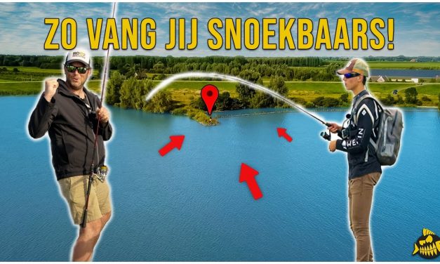 ***VIDEO*** MET DEZE TIPS VANG JIJ MEER SNOEKBAARS! – Alles over kantvissen met een expert