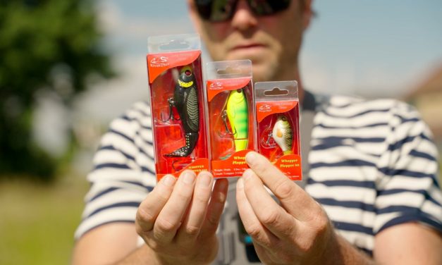 Welke grootte topwater kies je voor welke omstandigheden – Whopper Plopper